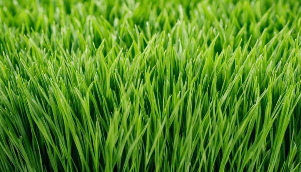 how often to brush artificial grass